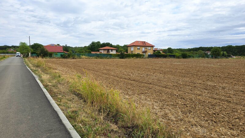 Ciofliceni The Forest Collection - 500 mp  Padurea Snagov -  comision 0%